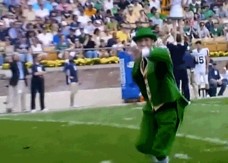 Notre Dame Football College GIF - Find & Share on GIPHY
