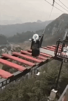 Zombie death jump in funny gifs