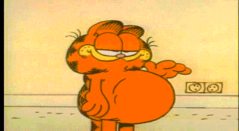 Ate Too Much Garfield GIF - Find & Share on GIPHY