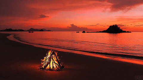 Bonfire at beach with pink sunset.