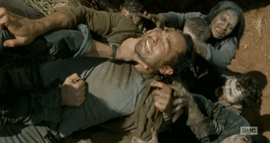 Juliana Harkavy - Wikipedia The Governor GIF - Find & Share on GIPHY