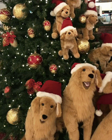 puppy christmas kindness