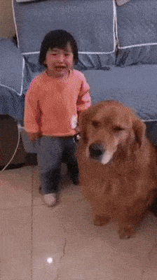 Best nanny ever in dog gifs