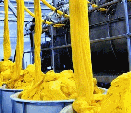 Giphy/Fashion For Future/Reprodução