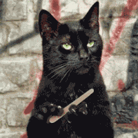 Animated GIF of black cat filing its nails