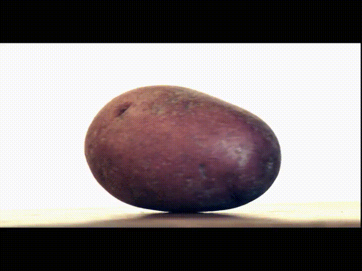 Sorry GIF Find & Share on GIPHY