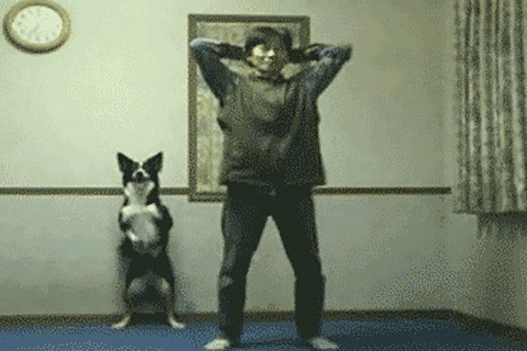 Homem e cachorro fazendo exercícios em casa