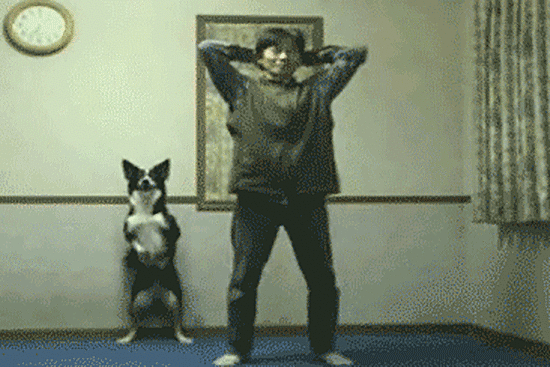 Renforcement musculaire en musique