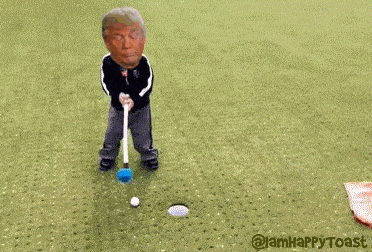 Trump GIF - Find & Share on GIPHY