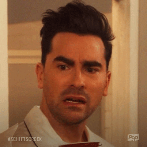 gif-by-schitt-s-creek-find-share-on-giphy