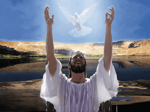 Image result for Jesus is baptized gif