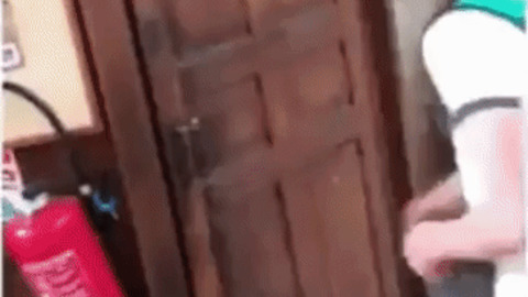 Door in a door GIF