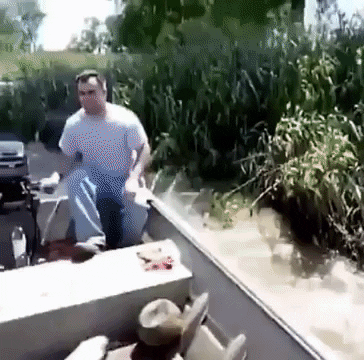 Fish incoming in funny gifs