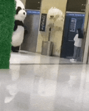 Big panda in funny gifs