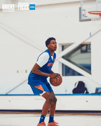 GIF by New York Knicks