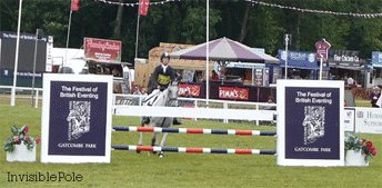 Show Jumping Horse GIF - Find & Share on GIPHY
