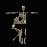 scary skeleton spoopy