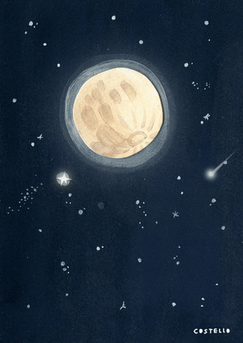 Shooting Star Illustration GIF - Find & Share on GIPHY