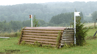 Horse Trials GIF - Find & Share on GIPHY