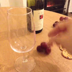 Wine GIF - Find & Share on GIPHY