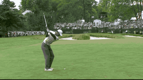 gif golf reaction twitter giphy everything