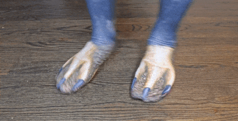 Image result for animal paw socks gif