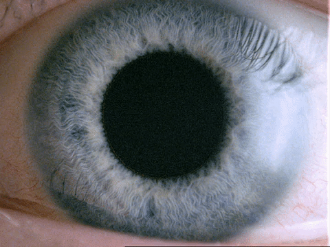 Augen Auf Daran Erkennst Du Wenn Dein Gegenuber Nicht Mehr Zuhort Welt