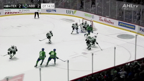 giphy.gif