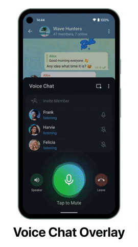 Voice Chats overlay