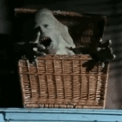 Basket Case Horror Movies GIF By Absurdnoise Find Share On GIPHY