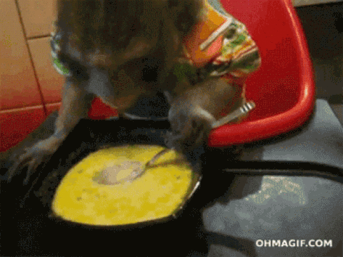 https://media.giphy.com/media/nKJ4Qwyr5xPIA/giphy.gif