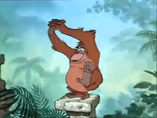 The Jungle Book Disney GIF - Find & Share on GIPHY