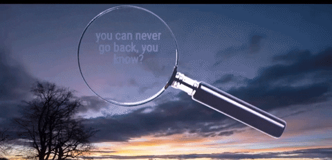go back