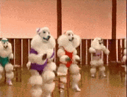 Poodle GIFs - Find & Share on GIPHY