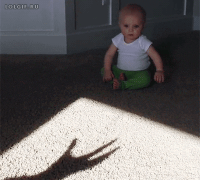 Spooky Shadow GIF - Find & Share on GIPHY