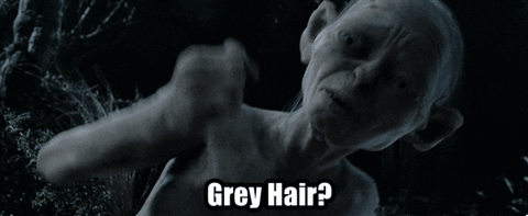 Lotr GIFs - Find & Share on GIPHY