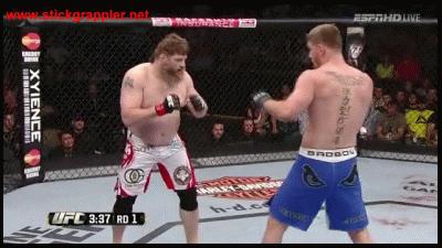 roy gif find amp share on giphy roy gif find amp share on giphy