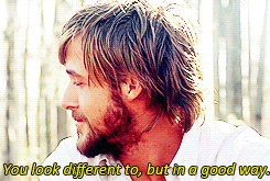 the notebook
