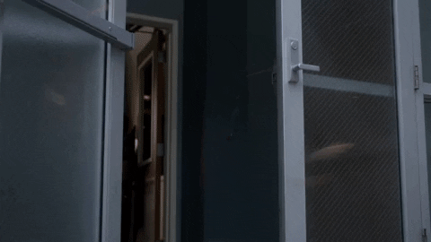 Grey'S Anatomy Levi Schmitt GIF by ABC Network - Find & Share on GIPHY