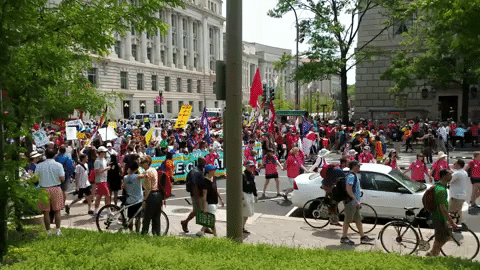 Public Radio Protest GIF by WAMU