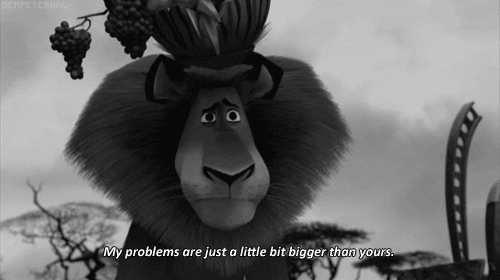 Madagascar 2 GIFs - Find & Share on GIPHY