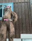 giphy-downsized.gif