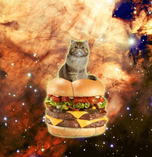 Cheeseburger GIF Find & Share on GIPHY