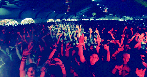 Image result for CONCERT CROWD, GIF