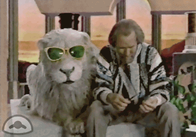 Jim Henson Deal With It GIF - Find & Share on GIPHY