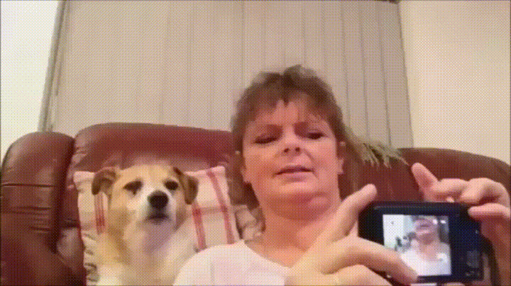  dog selfie GIF
