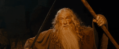  lotr gandalf lord of the rings you shall not pass GIF