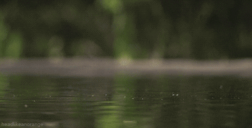 wow (692) Animated Gif on Giphy