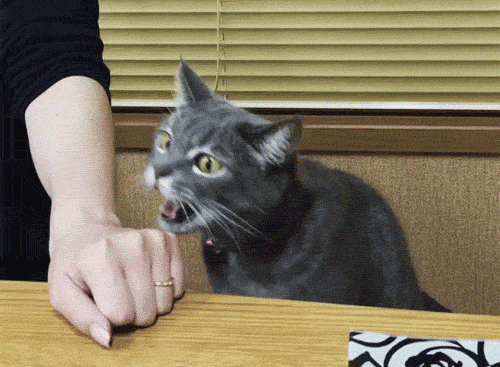 source.gif