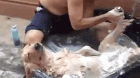 Shower Time best Gif